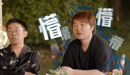 龙凤胎吃瓜,龙凤胎的甜蜜瓜界冒险