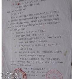 吃瓜盟主立案,揭秘娱乐圈风云背后的真相