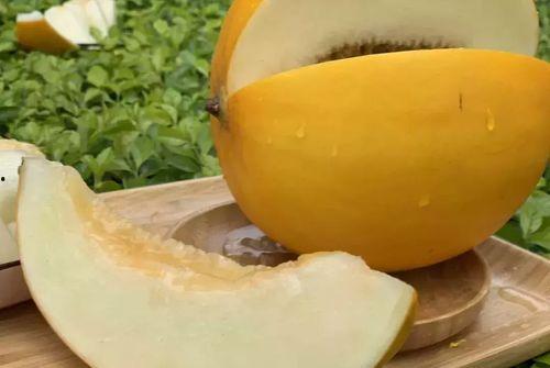 缅甸大瓜怎么吃