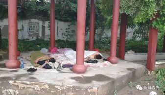 吃瓜群凉亭视频,揭秘网络热议背后的真相