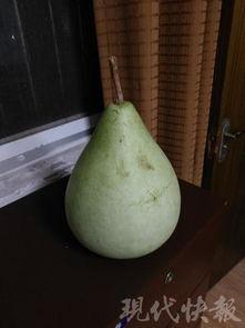 医院感染科吃瓜