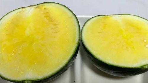 吃瓜优品优选,品味生活，尽享美食盛宴