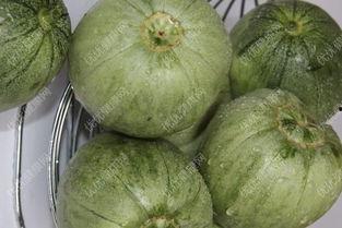 孕妇吃荷兰瓜好吗,孕妇食用荷兰瓜的益处与注意事项