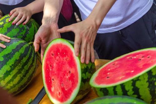 南宁大学吃瓜,吃瓜群众围观校园新鲜事