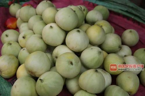 南宁大学吃瓜,吃瓜群众围观校园新鲜事