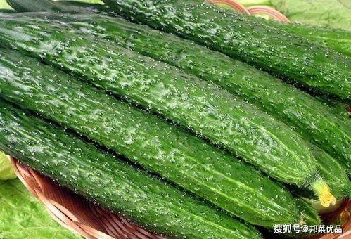 吃的绿色的瓜,探寻夏日清新美食之旅