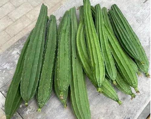 吃的绿色的瓜,探寻夏日清新美食之旅