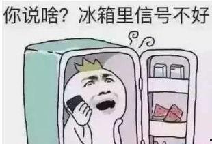 带你吃瓜之高温天气,带你吃瓜避暑攻略