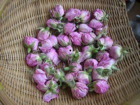 玫瑰快穿嘎嘎吃瓜,嘎嘎吃瓜，穿梭时空的甜蜜冒险