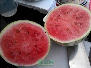 吃瓜对照,吃瓜群众视角下的娱乐圈风云录