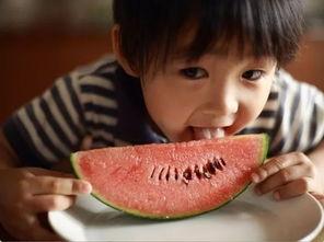 吃瓜尾巴视频大全,揭秘娱乐圈幕后故事