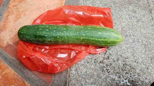 瓜和什么可以吃