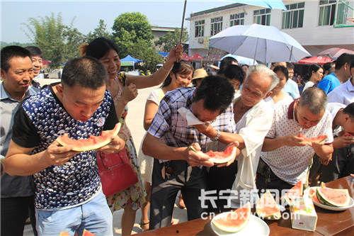 吃瓜比赛活动介绍,吃瓜比赛狂欢盛宴