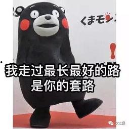 王小鑫吃瓜套路,吃瓜套路大公开