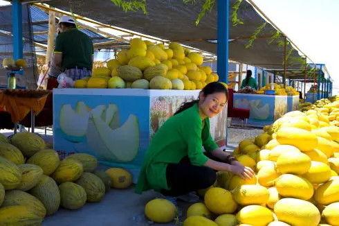 甘肃建筑吃瓜,瓜果飘香中的建筑艺术之旅