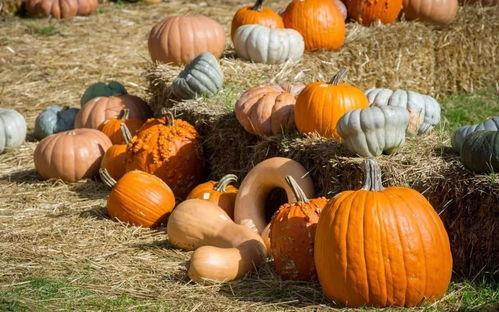 吃瓜群众在西安吃瓜,吃瓜群众的热闹一幕