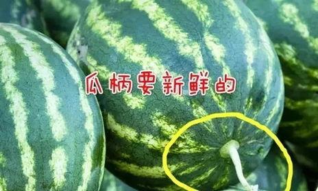 吃瓜对照
