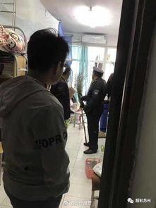 抓蛇吃瓜群众,揭秘民间蛇宴背后的故事