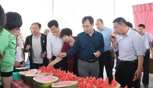 安阳内黄吃瓜群众