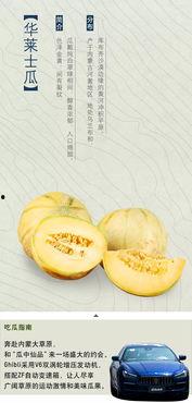纯正吃瓜