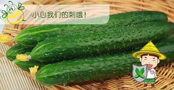 吃瓜最佳模式,轻松解锁快乐观战新姿势