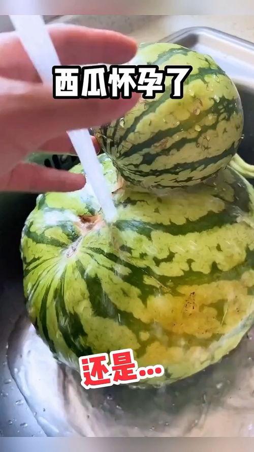 吃瓜搞笑观察视频