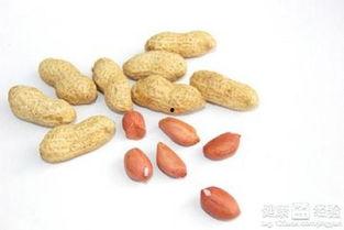 结石可以吃蒲瓜吗