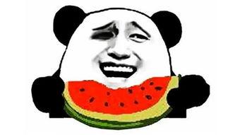 笑话吃瓜人
